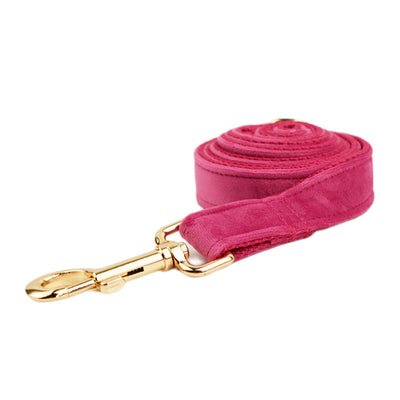Collar de Perro Terciopelo - Comodidad y Estilo - Image 14