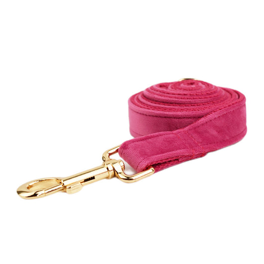 Collar de Perro Terciopelo - Comodidad y Estilo - Image 14