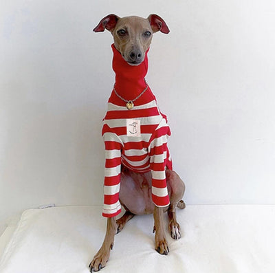 Suéter Rayas Cuello Alto Algodón Stretch para Perros - Image 6