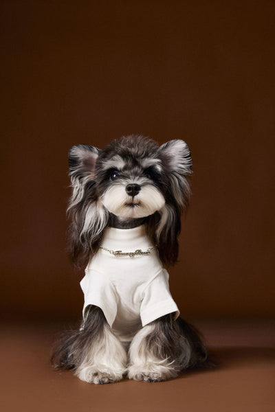 Camisa Interior Teddy Schnauzer - Diseño Elegante con Cuello de Dos Patas - Image 8