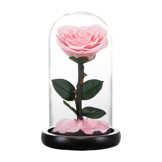 Corazón de Flores Preservadas para San Valentín - Regalo Eterno - Image 11