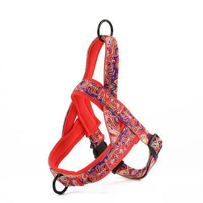 Arnés para Perro con Correa de Mano y Pechera de Soporte - Image 2