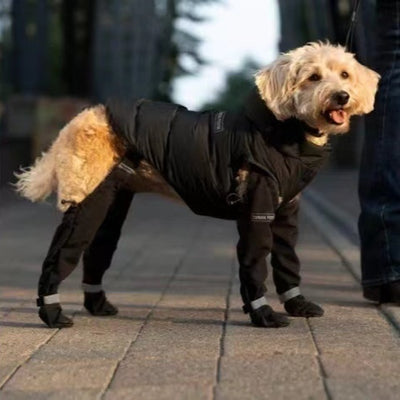 Botines Impermeables para Mascotas con Cinturón Elástico y Reflectivos
