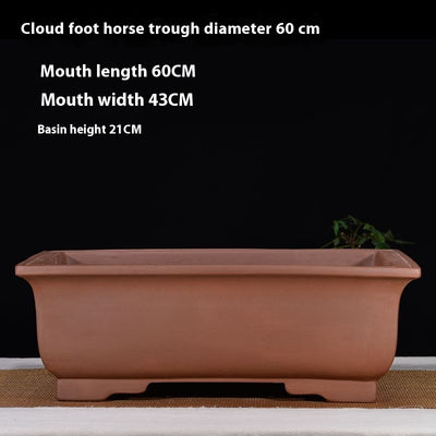 Maceta Rectangular de Cerámica Púrpura para Bonsái y Plantas de Interior - Image 5
