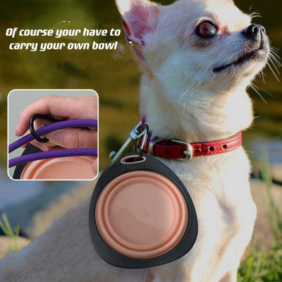 Comedero Plegable Portátil para Mascotas - Tazón de Viaje Multicolor para Perros y Gatos - Image 2