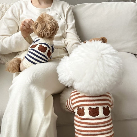 Suéter Tejido Cálido para Mascotas Estilo Coreano Otoño Invierno - Image 4