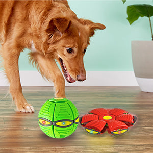 Pelota Voladora UFO con 6 Luces LED para Perros y Niños - Image 16