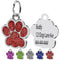 Placa de Identificación Personalizada para Mascotas con Grabado Luminoso