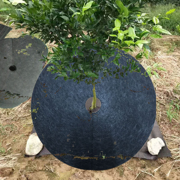 Tela Ecológica Antimaleza No Tejida