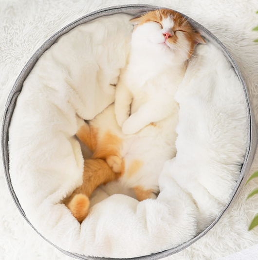 Cama Cómoda para Mascotas - Image 5
