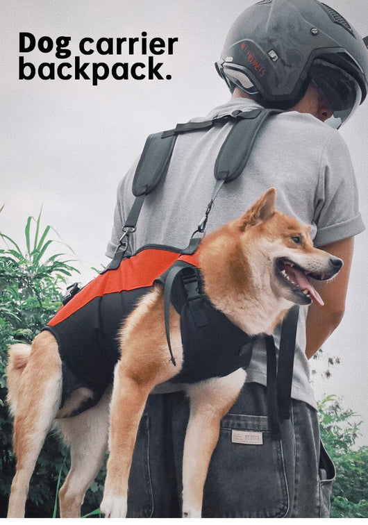 Mochila Transportadora Aérea para Mascotas - Paseos y Aventuras - Image 12
