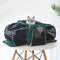 Space Capsule Pet Carrier Backpack - Large Capacity