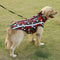 Chaleco Transpirable para Perros