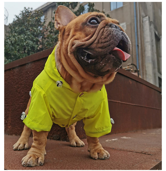 Impermeable Reflectante para Mascotas - Image 5