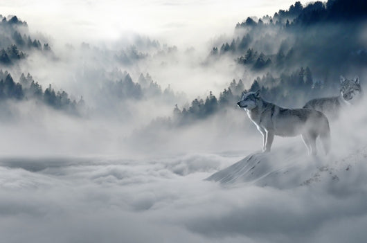Wolf looking at mountain pattern tapestry featuring a majestic wolf on a snowy peak overlooking a misty forest.
