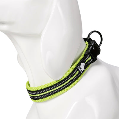 Collar para Perro de Nylon Reflectante Ajustable - Image 6
