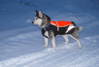 Abrigo Acolchado de Plumón para Perros - Cálido y Elegante - Image 13
