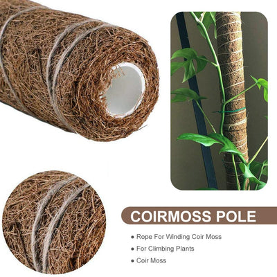 Palitos de Rábano Verde y Coco - Image 6