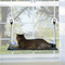 Cama Hamaca para Gato de Ventana con Ventosas de Alta Succión