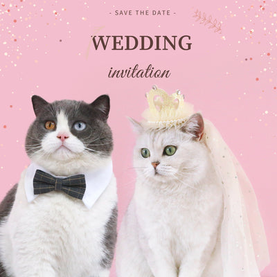 Corona Princesa para Gatos y Mascotas - Accesorio de Fiesta Elegante