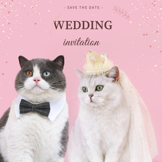 Corona Princesa para Gatos y Mascotas - Accesorio de Fiesta Elegante