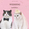 Corona Princesa para Gatos y Mascotas - Accesorio de Fiesta Elegante