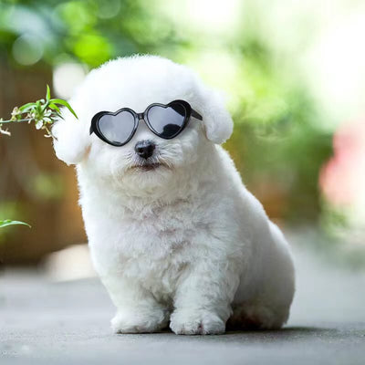Gafas de Sol para Mascotas y Muñecas - Accesorios Divertidos - Image 4