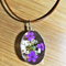 Morado