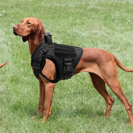 Chaleco Táctico Impermeable para Pastor Alemán con Correa de Pecho a Prueba de Explosiones