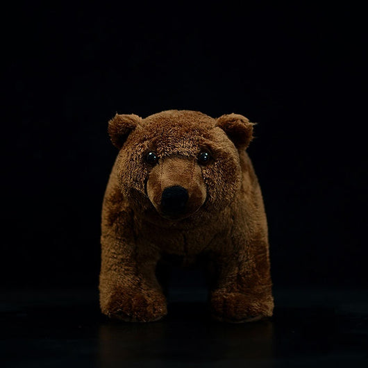 Peluche Oso Pardo Realista - Image 5
