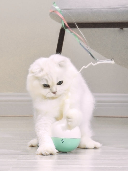 Juguete Interactivo para Gatos con Varilla Eléctrica y Pelota Dispensadora - Image 4