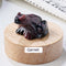 Specimen Popular Science Ornament Children's Gifts Garnet