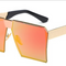 C13 Polarizer