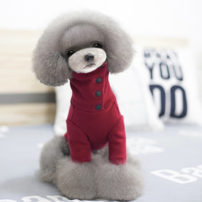 Ropa de Otoño e Invierno para Perros Pequeños - Image 4
