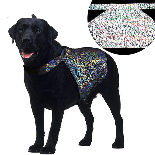 Ropa Reflectante para Mascotas - Image 3