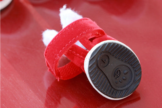 Botitas Navideñas para Mascotas - Image 10