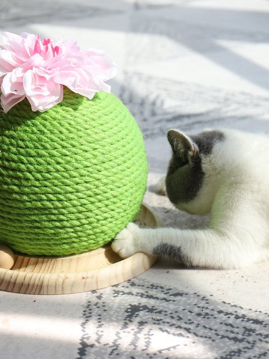 Green rope cat scratching toy shaped like a cactus with a pink flower on top, sitting on a light wood base. - Image 5