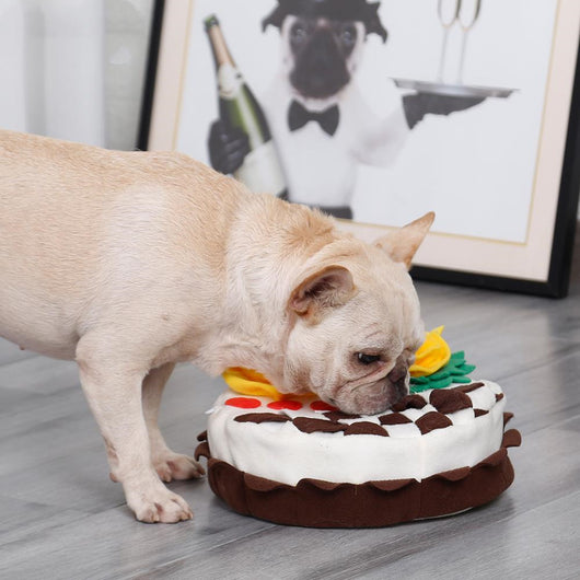 Tapete Olfativo para Cumpleaños de Perros - Image 4