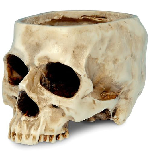 Maceta Decorativa Calavera de Resina para Halloween - Image 18