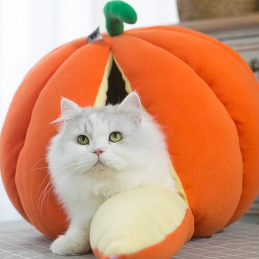 Cama Nido Cálida para Gatos - Casa Tipo Calabaza Cerrada con Bolsa de Dormir - Image 5