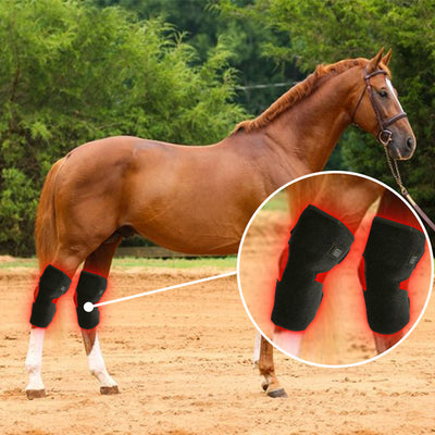 Dispositivo Portátil de Fototerapia para Recuperación de Espalda y Rodillas en Caballos - Image 12