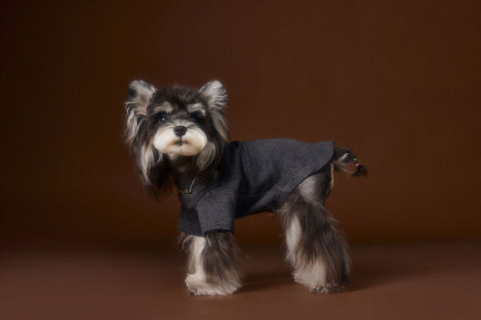 Camisa Interior Teddy Schnauzer - Diseño Elegante con Cuello de Dos Patas - Image 13