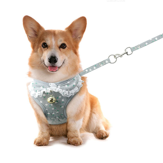 Arnés Pechera Rosa para Perro Pequeño con Correa y Cascabel - Image 2