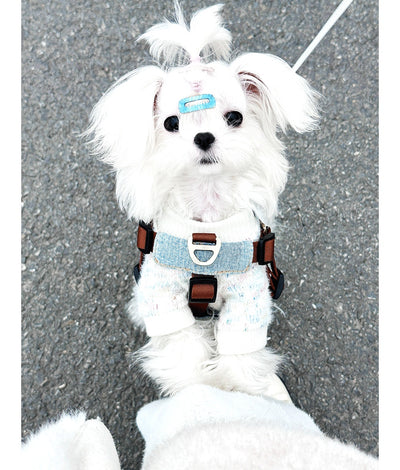 Arnés Chaleco para Perros Pequeños y Medianos - Control Seguro y Cómodo - Image 12