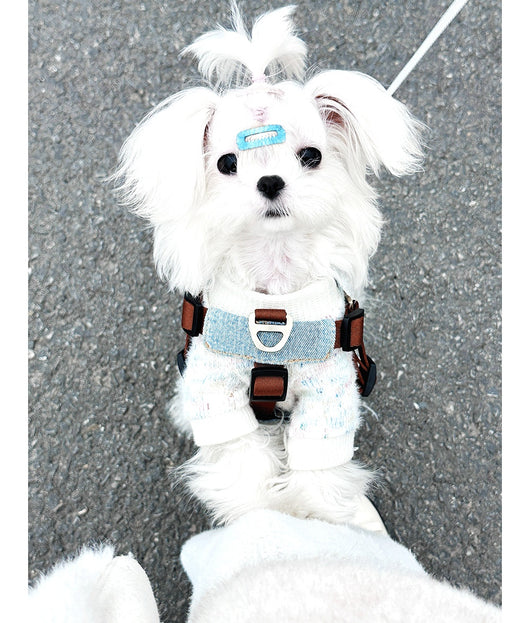 Arnés Chaleco para Perros Pequeños y Medianos - Control Seguro y Cómodo - Image 12