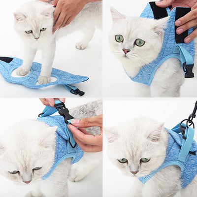 Correa de Tracción para Pasear Gatos - Control Seguro y Cómodo - Image 3