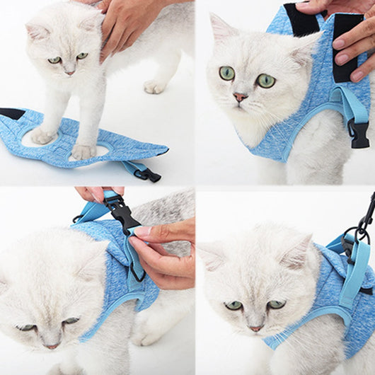 Correa de Tracción para Pasear Gatos - Control Seguro y Cómodo - Image 3