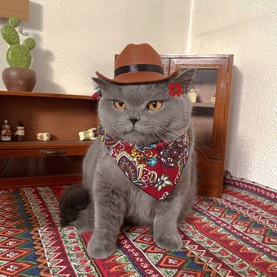 Sombrero Vaquero Decorativo para Gatos - Image 6