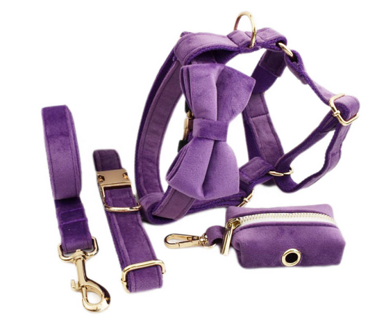 Collar de Terciopelo para Perros - Diseño Elegante y Cómodo - Image 27
