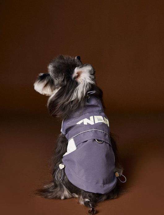 Ropa de Otoño para Perros Pequeños - Abrigos para Schnauzer, Teddy y York - Image 11